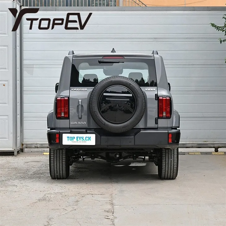2024 GWM Бак 300 Гибридный электромобиль